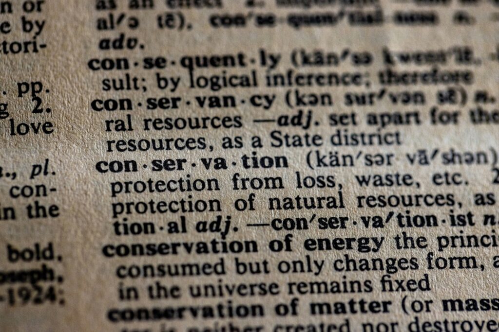 سوني تدخل الخليج بأسلوبها الأقوى: استحواذ ضخم يشعل سوق ألعاب السعودية سوني تدخل الخليج بأسلوبها الأقوى: استحواذ ضخم يشعل سوق ألعاب السعودية