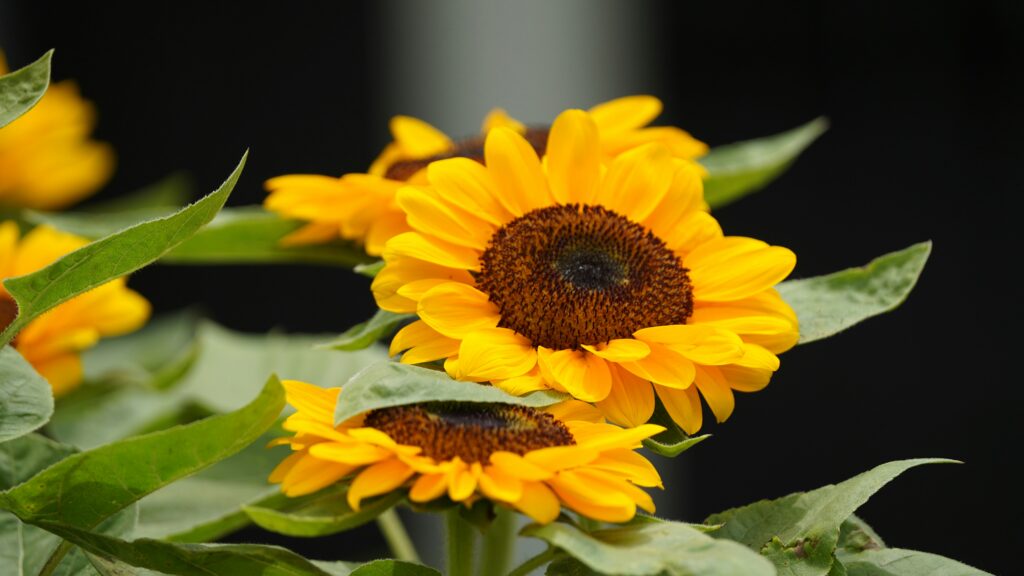 قنبلة استديوهات الألعاب: استحواذ تاريخي يغير قواعد اللعبة في الشرق الأوسط